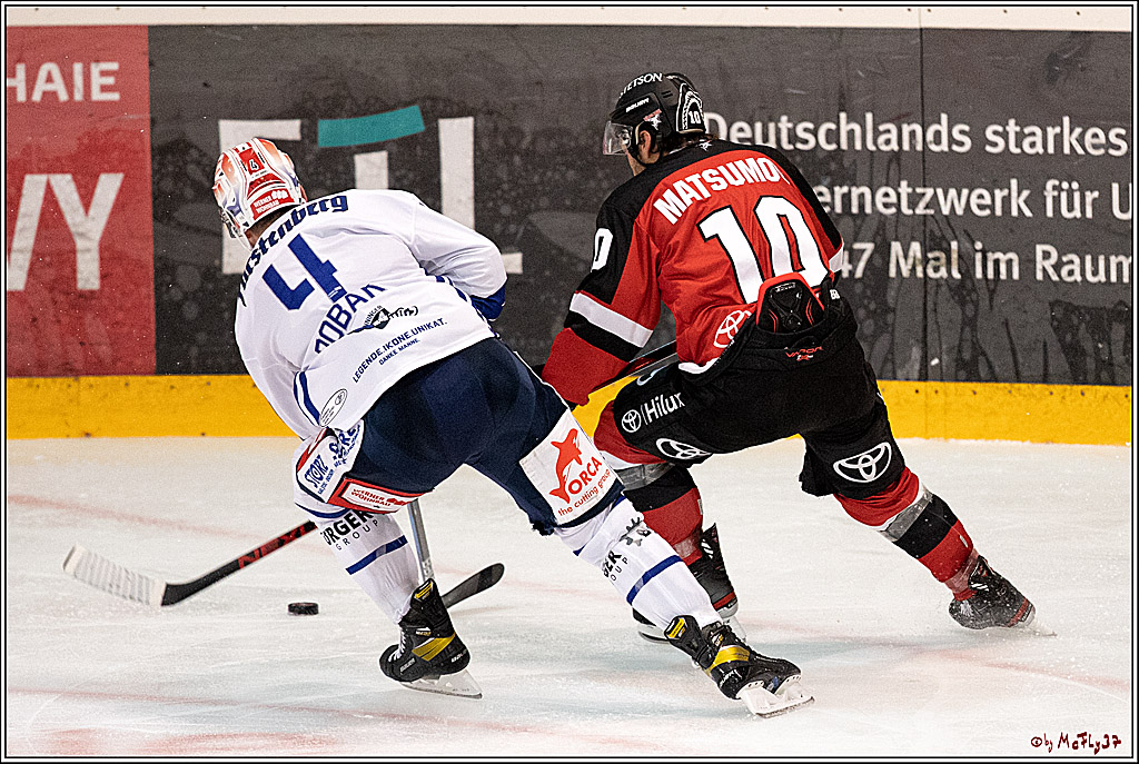 PENNY DEL; Koelner Haie - Schwenninger Wild Wings; Koeln, 13.08.2021